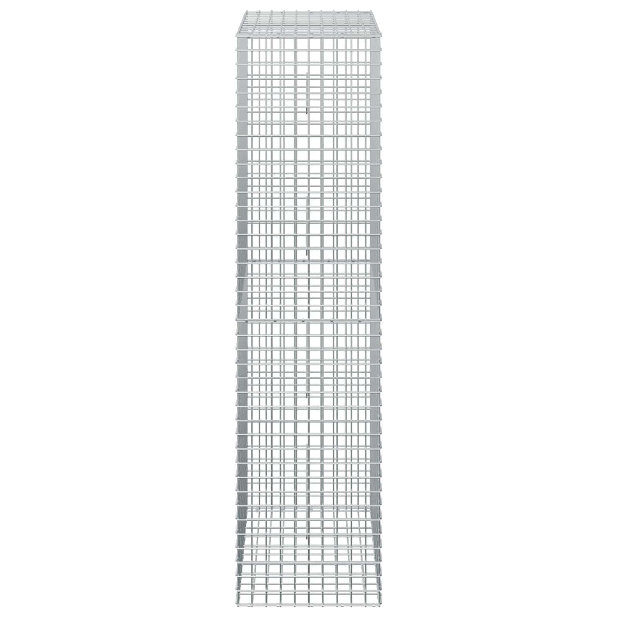 Gabion with 3.5 mm Wire and 5x5 cm Mesh 50x50x200 cm 50 cm