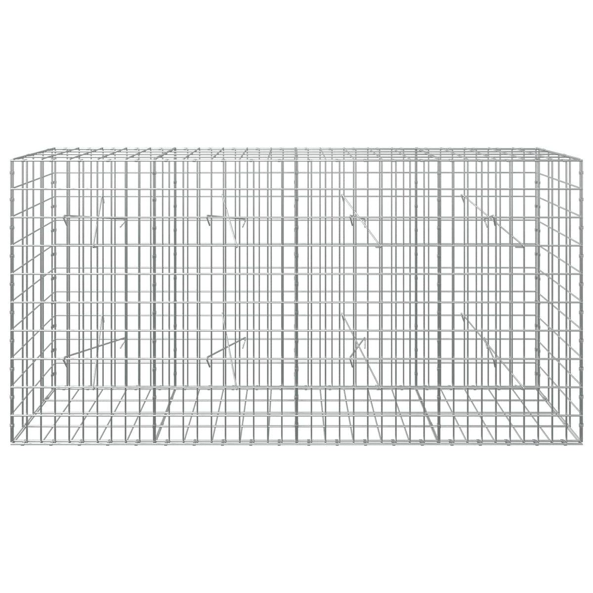 Gabion with 3.5 mm Wire and 5x10 cm Mesh 50x20x100 cm 200 cm