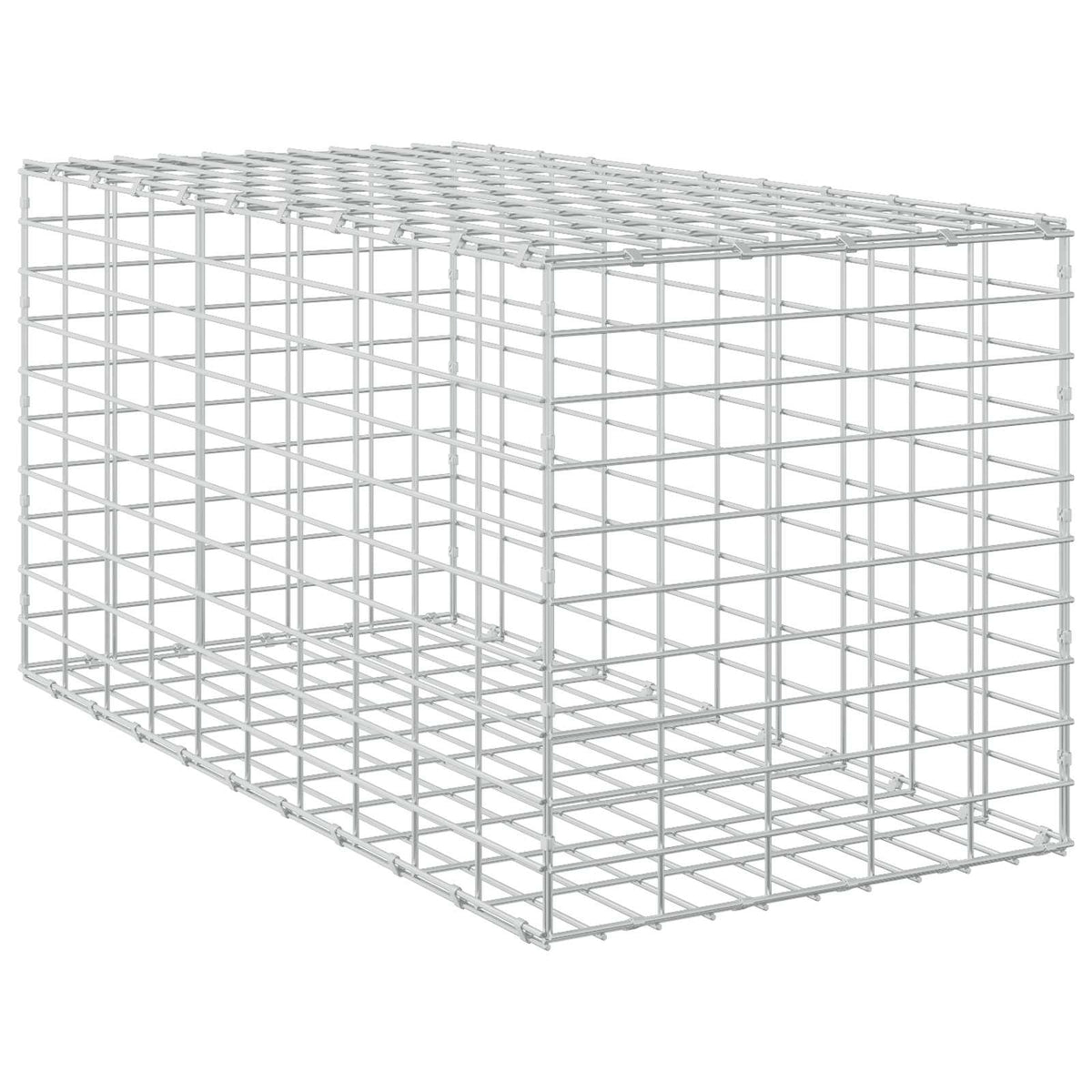 Gabion with 3.5 mm Wire and 5x10 cm Mesh 50x100x50 cm 50 cm