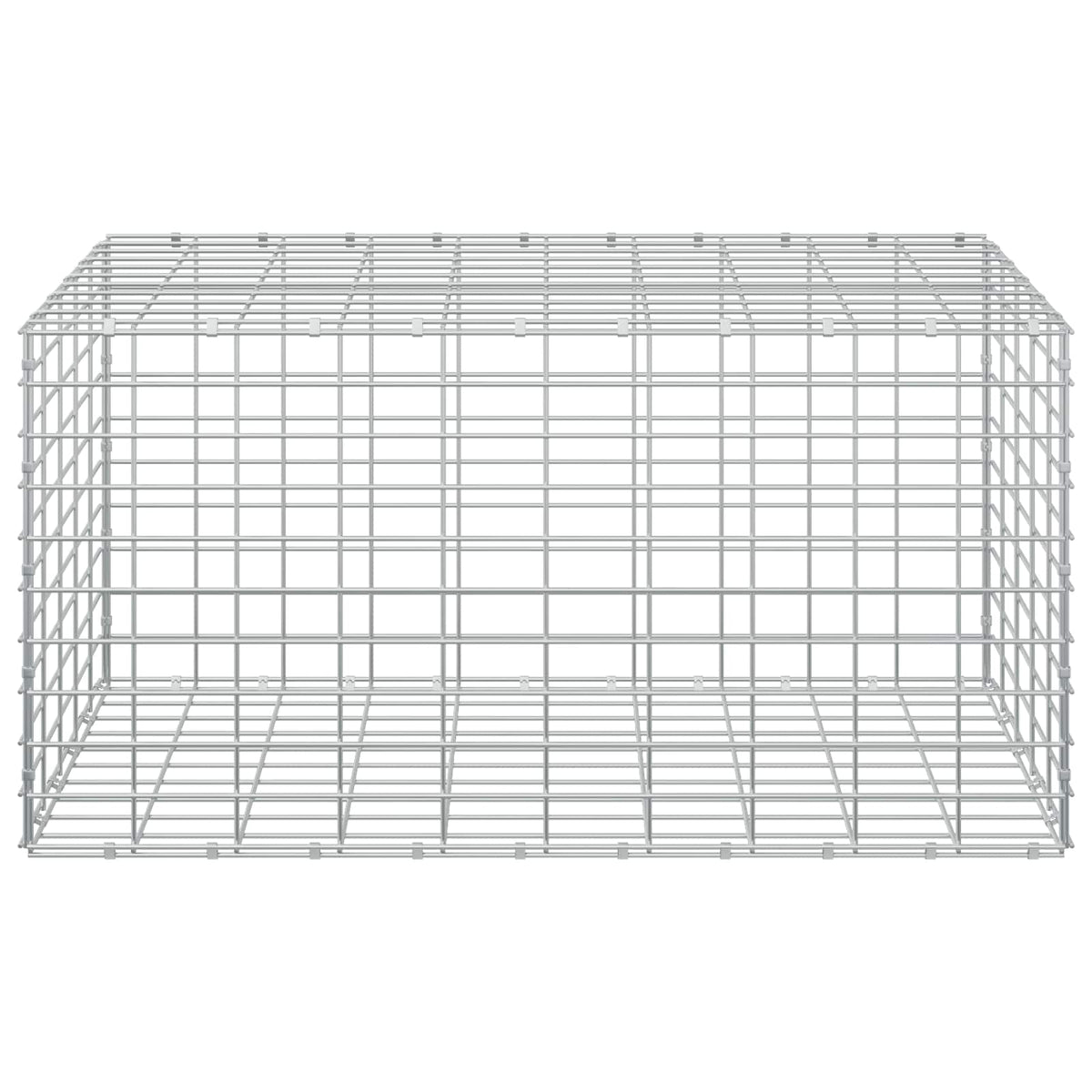 Gabion with 3.5 mm Wire and 5x10 cm Mesh 50x100x50 cm 50 cm