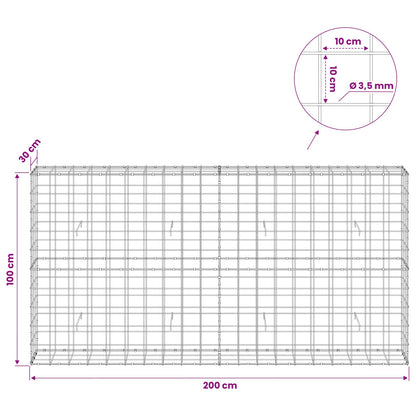 Gabion with 3.5 mm Wire and 10x10 cm Mesh 50x30x100 cm 200 cm