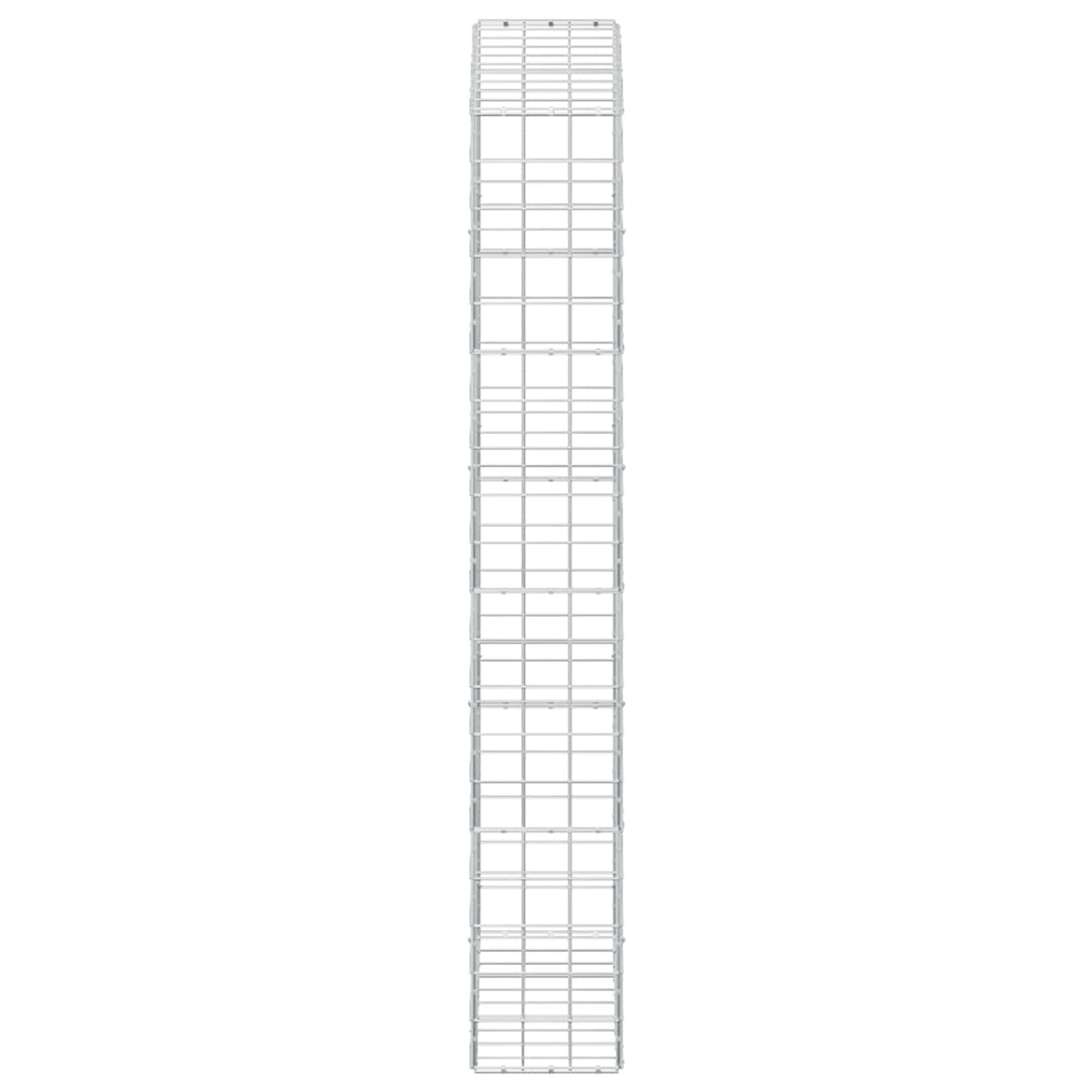 Gabion with 3.5 mm Wire and 10x10 cm Mesh 50x30x200 cm 100 cm