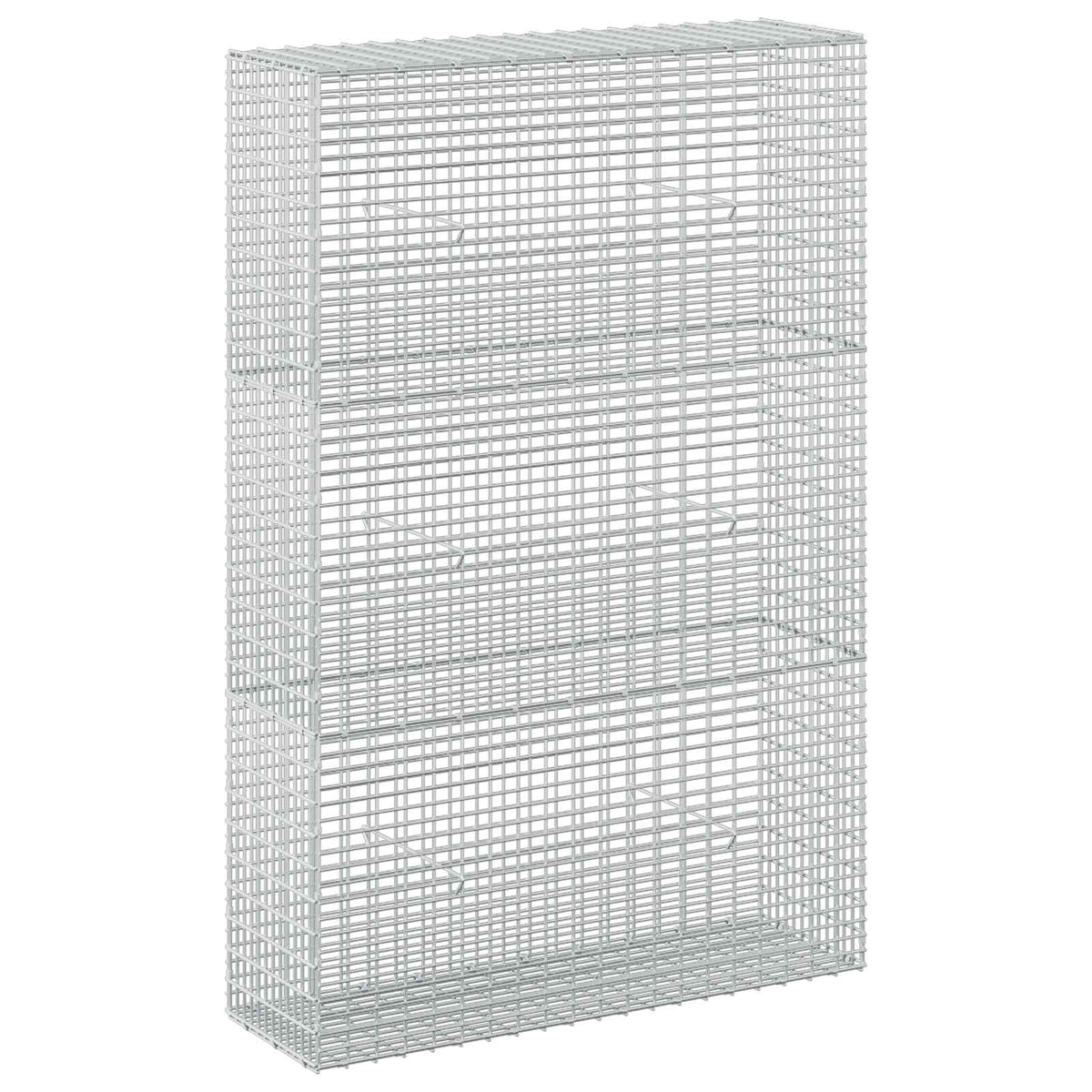 Gabion with 5 mm Wire and 5x2.5 cm Mesh 100x30x150 cm 100 cm