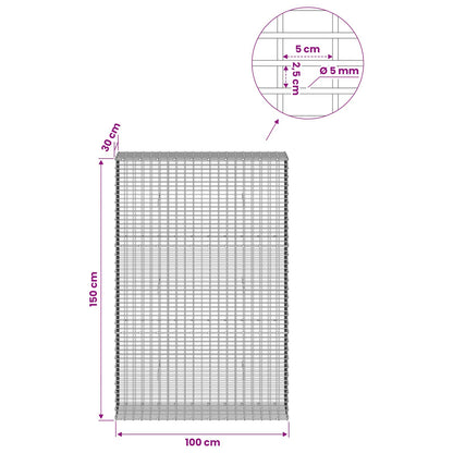 Gabion with 5 mm Wire and 5x2.5 cm Mesh 100x30x150 cm 100 cm