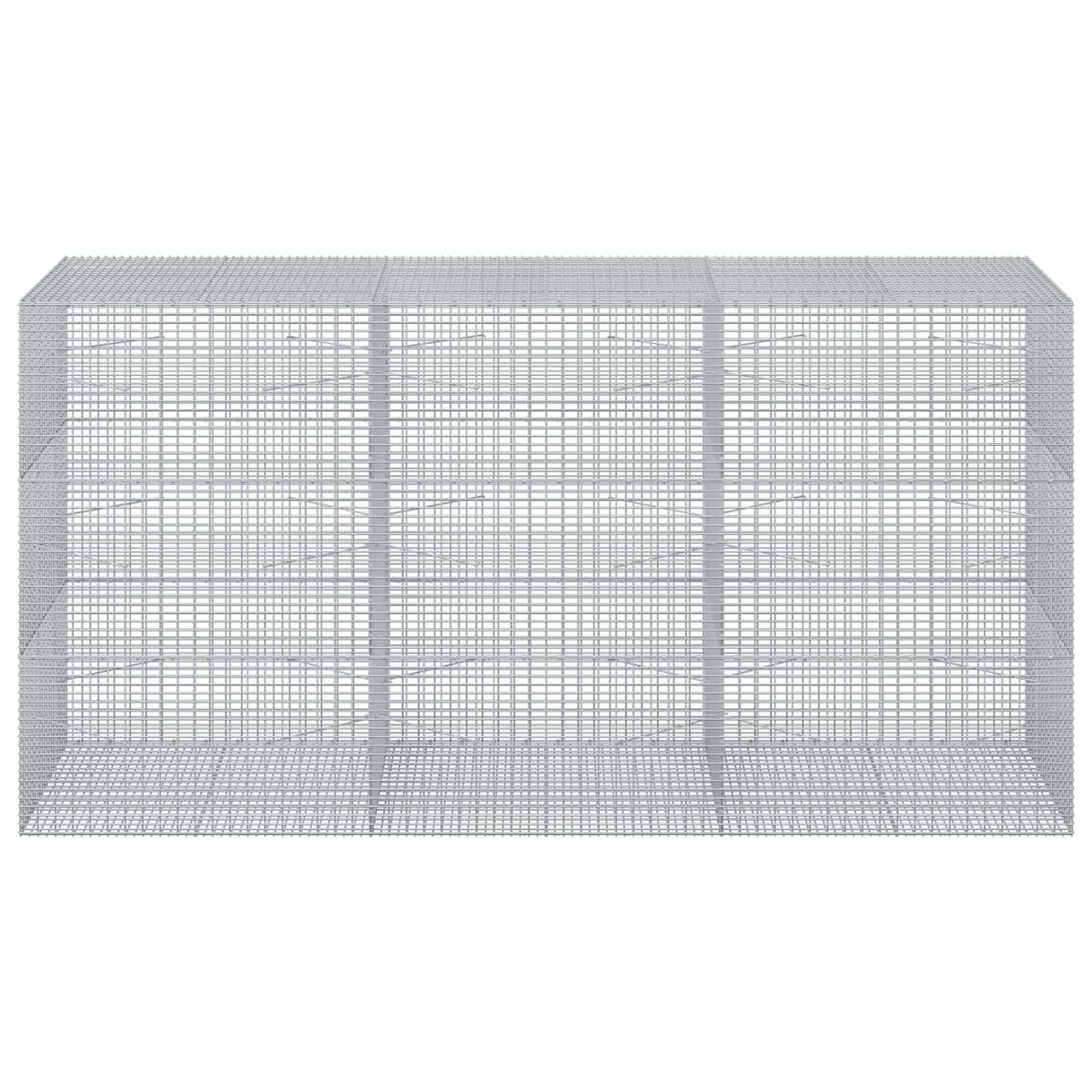 Gabion with 5 mm Wire and 5x2.5 cm Mesh 50x100x150 cm 300 cm