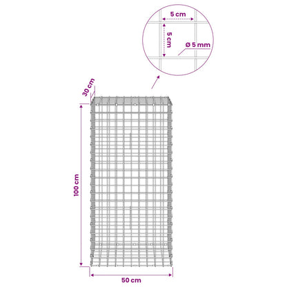 Gabion with 5 mm Wire and 5x5 cm Mesh 50x30x100 cm 50 cm