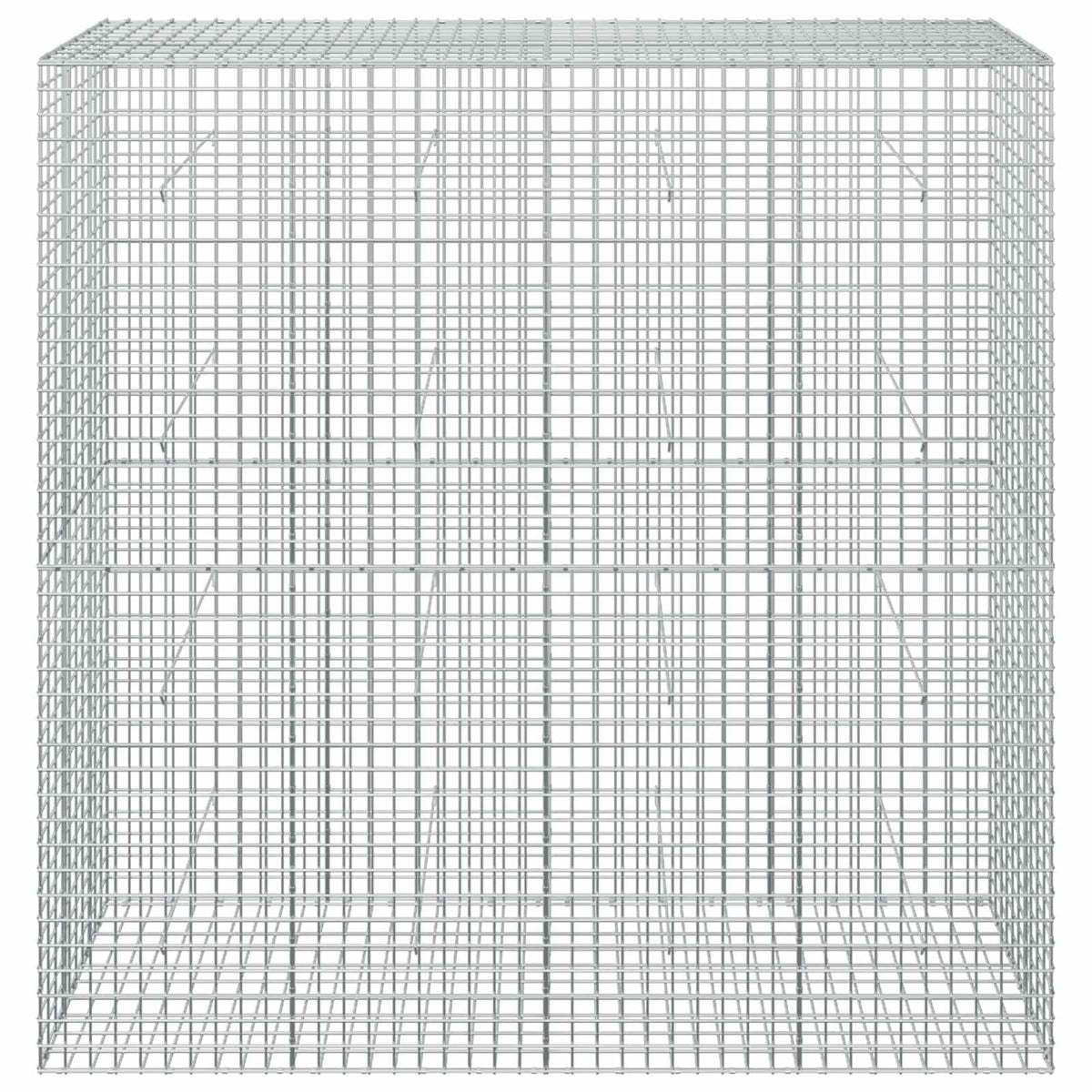 Gabion with 5 mm Wire and 5x5 cm Mesh 50x50x200 cm 200 cm