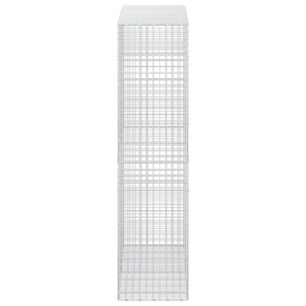 Gabion with 5 mm Wire and 5x5 cm Mesh 50x50x200 cm 200 cm