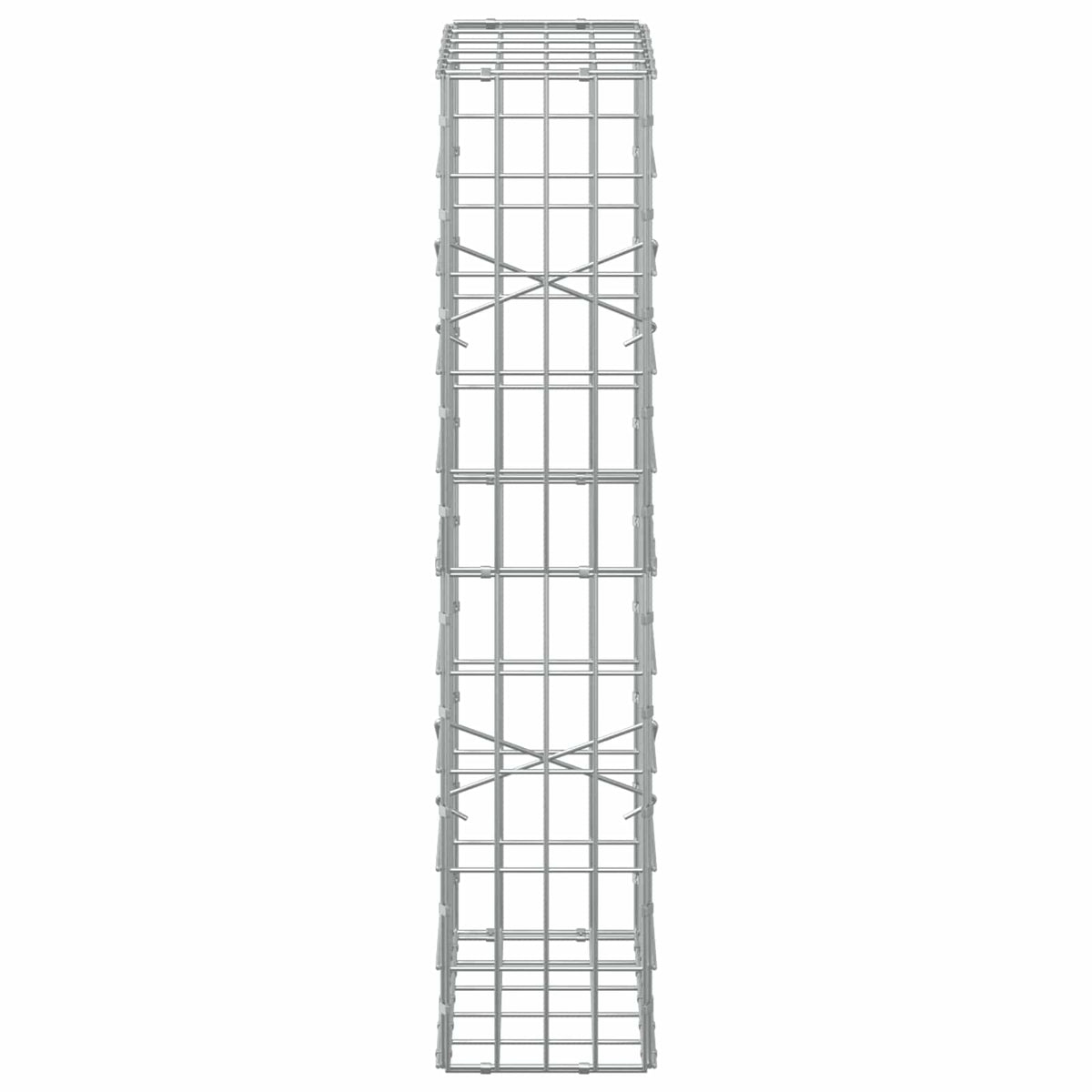 Gabion with 5 mm Wire and 5x10 cm Mesh 50x20x100 cm 50 cm