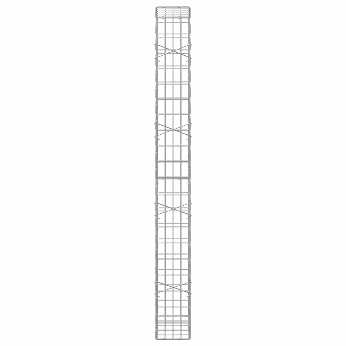 Gabion with 5 mm Wire and 5x10 cm Mesh 50x20x200 cm 50 cm
