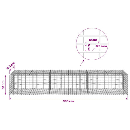 Gabion with 5 mm Wire and 5x10 cm Mesh 50x100x50 cm 300 cm