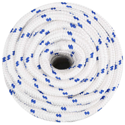 vidaXL Multipurpose Utility Rope 20 mm 50 m White and Blue PP 3