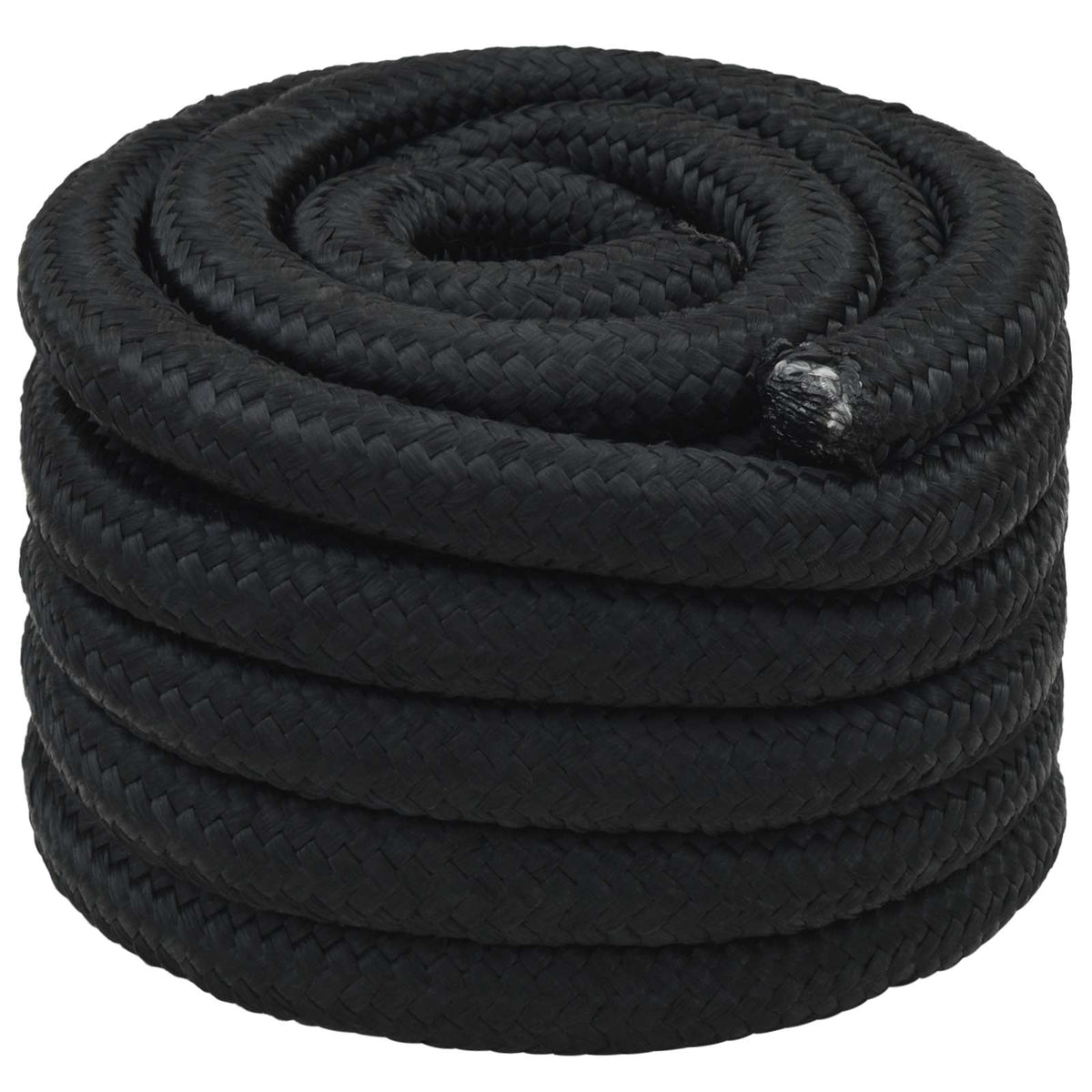 vidaXL Multipurpose Utility Rope PP Length 10 m 50 mm