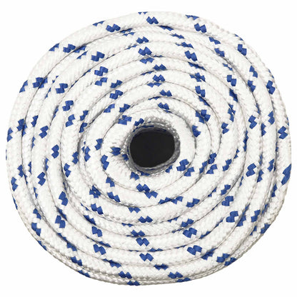 Multipurpose Utility Rope PP Length 100 m White and blue 14 mm