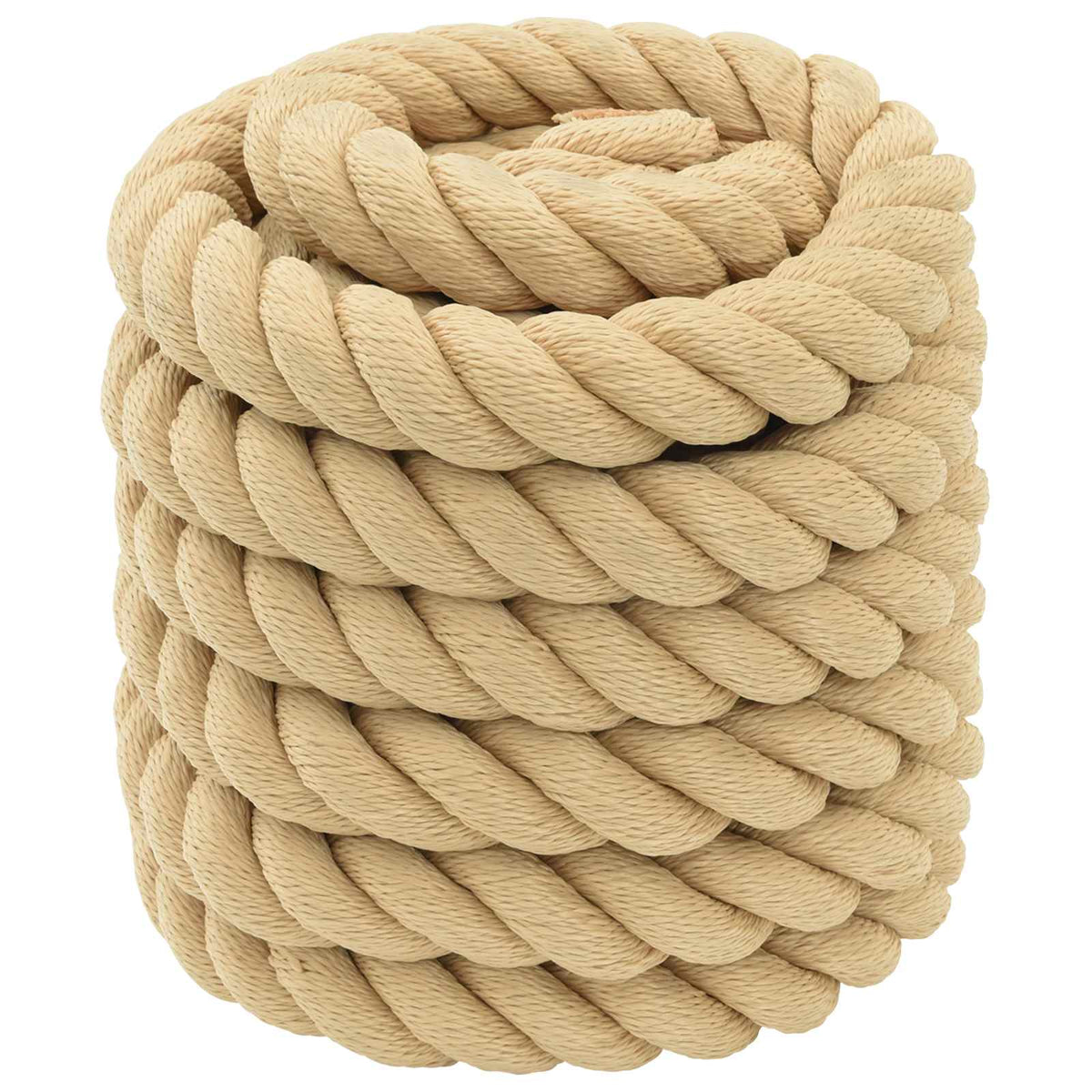 vidaXL Multipurpose Utility Rope PP Length 10 m 50 mm