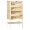 PawHut Wooden Large Hamster Cage, Gerbil Cage 4 Layers with Tall Bottom & Storage Shelf