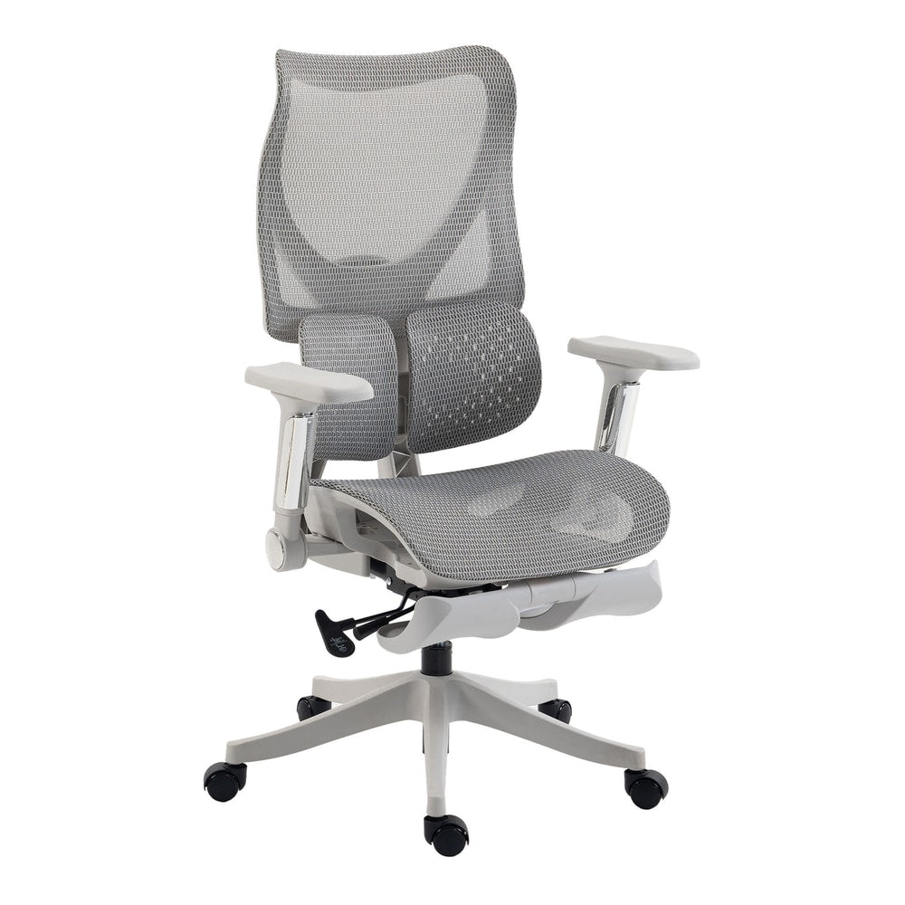 HOMCOM Ergonomic Office Chair with Lumbar Support, Mesh Reclining Desk Chair with Footrest, Adjustable High Back, Grey