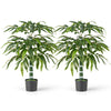 100 CM Artificial Bamboo Tree Set of 2 with Plastic Nursery Pot and Adjustable Branches
