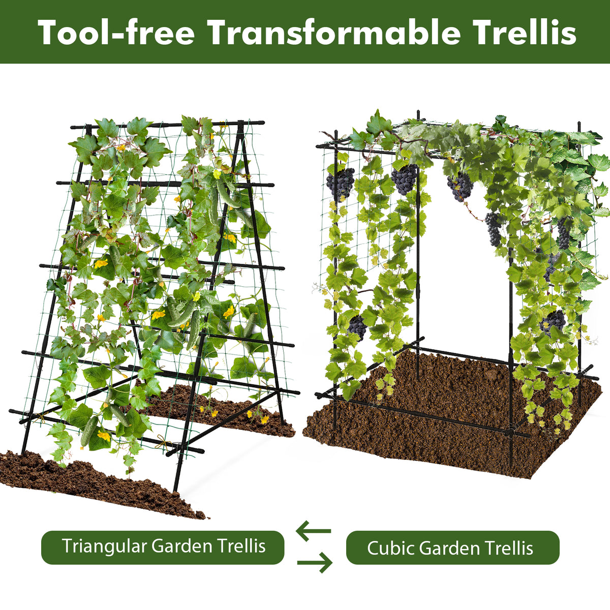 Cucumber Trellis for Climbing Plants Outdoor-Black