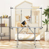 Foldable Dog Grooming Table with Height Adjustable Arms and Mesh Tray-Black