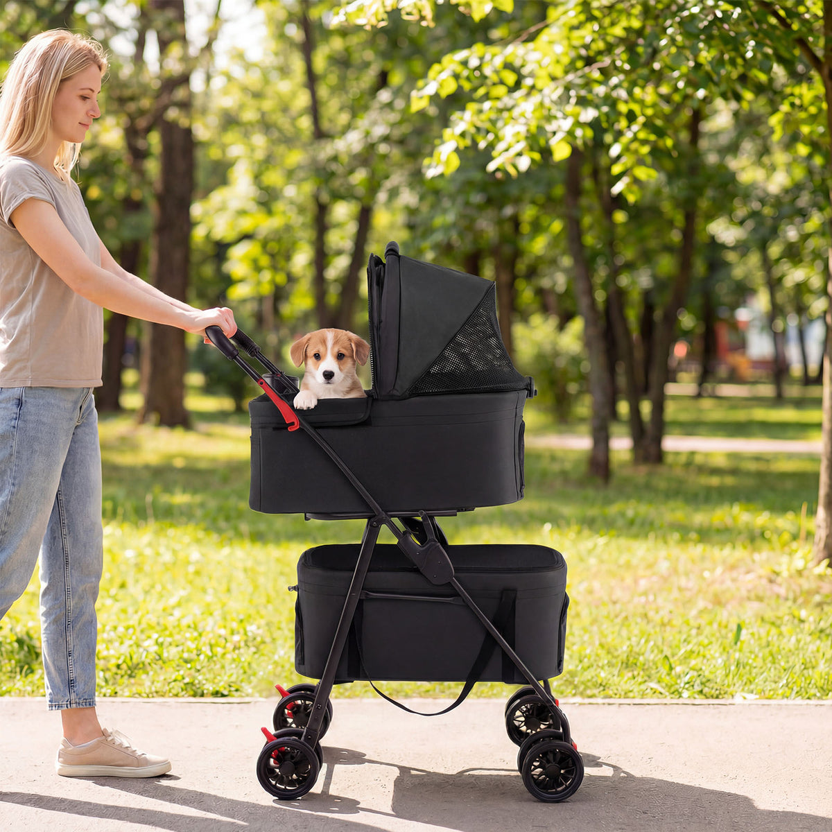 The dog stroller being pushed by a woman along a sunny park path with a puppy inside
