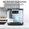 4L Electric Composter with Lid and Auto-Cleaning for Kitchen-Black