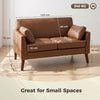HOMCOM 2 Seater Sofa, 132 cm Modern Small Sofa with Solid Wood Legs and 2 Pillows for Small Space, Brown