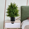 Set of 2 Artificial Cedar Topiary Ball Trees with Cement Pot