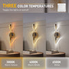 HOMCOM Led Wall Lamp 2 Pack, 13W Modern Indoor Spiral Wall Light, Colour Temperature Adjustable 3000K/4000K/6500K, for Bedroom, Living Room, Hallway, Stairs, Gold Tone