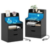 LED Nightstand with Charging Station 2-Drawer Bedside Table with Open Shelf Set of 2-Black