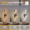 HOMCOM Led Wall Lamp 2 Pack, 13W Modern Indoor Spiral Wall Light, Colour Temperature Adjustable 3000K/4000K/6500K, for Bedroom, Living Room, Hallway, Stairs, Black