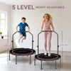 SPORTNOW 40