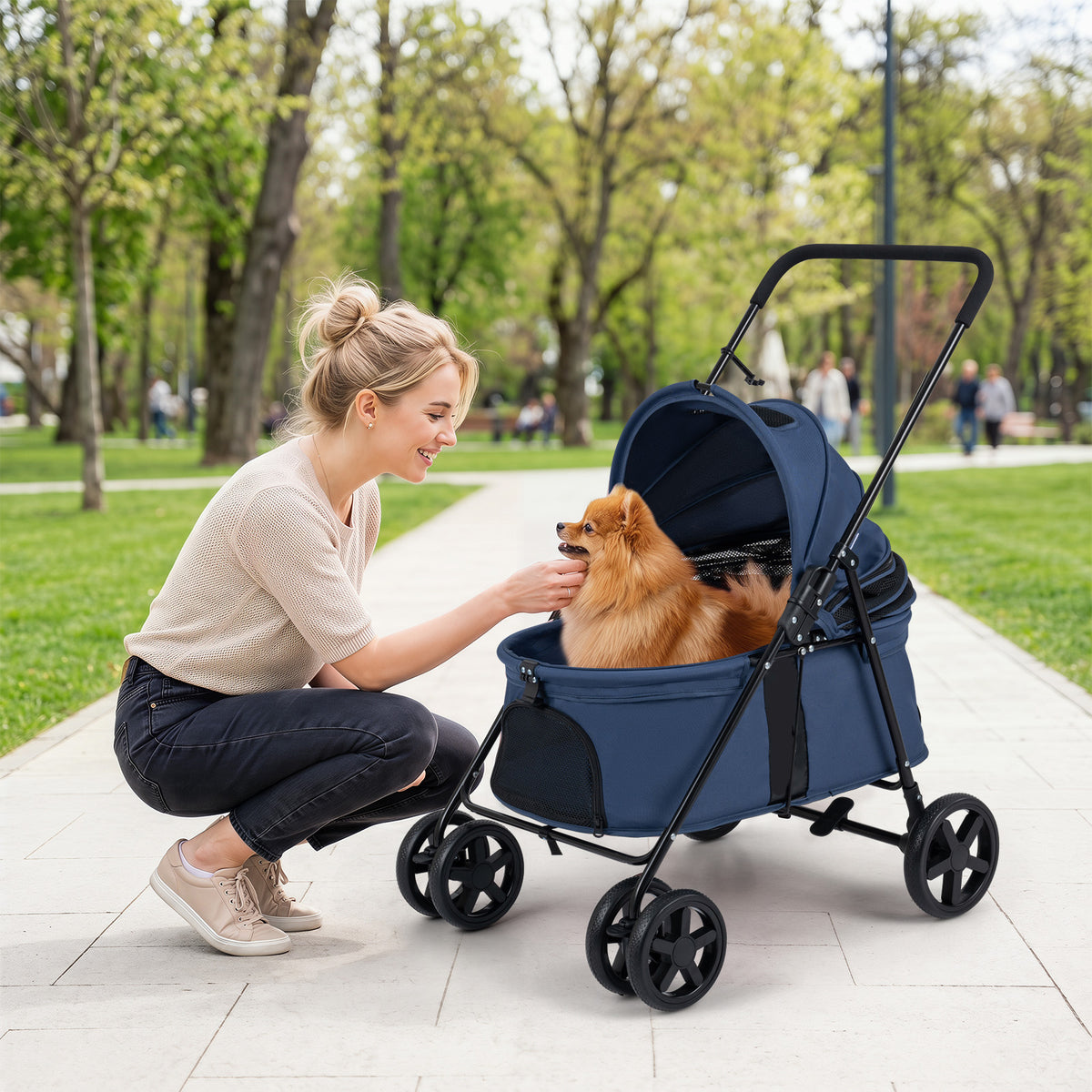 The dog stroller with a small dog inside being petted by a woman on a paved park path