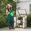 Portable Mini Wooden Greenhouse with 2 Removable Shelves