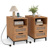 Set of 2 Narrow End Table with Charging Station Rattan Nightstand with 2 Drawers-Natural