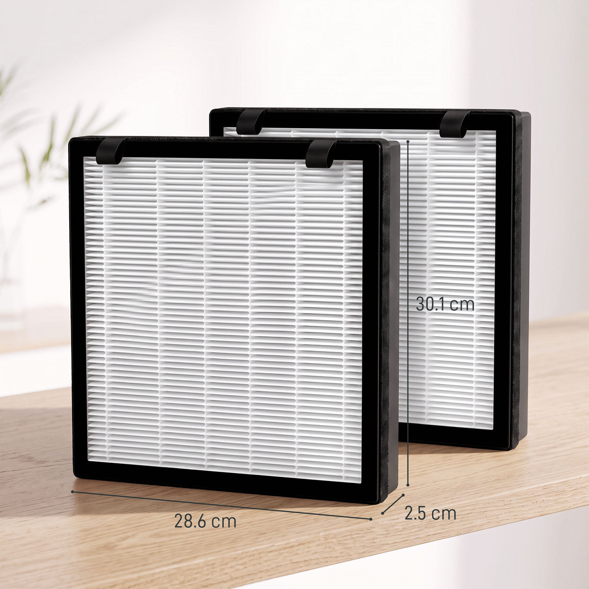 HOMCOM H13 True HEPA Replacement Filter for Air Purifier (Model 823-096), Activated Carbon Filter for Smoke, Pet Odour, 2 Pack