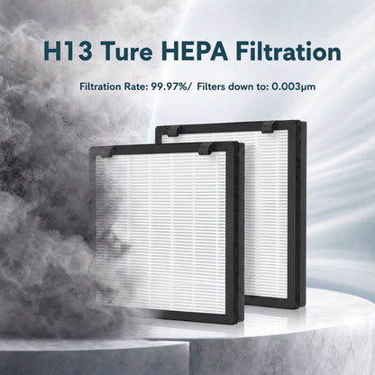 HOMCOM H13 True HEPA Replacement Filter for Air Purifier (Model 823-096), Activated Carbon Filter for Smoke, Pet Odour, 2 Pack