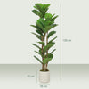 HOMCOM 120cm Set of 2 Artificial Fiddle Leaf Fig Trees - Green