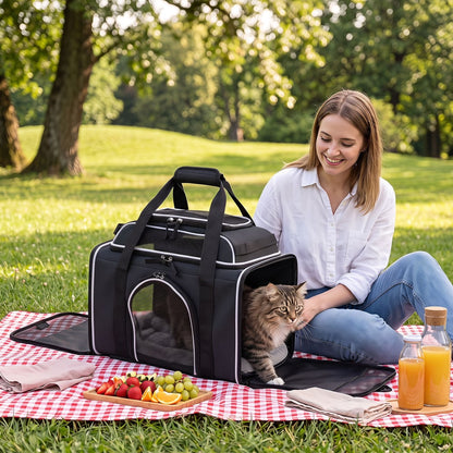 A woman sits on a picnic blanket in a park with a cat looking out of the carrier
