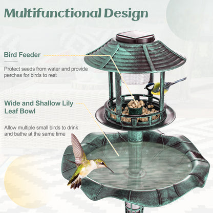 The bird supplies showing the feeder and the shallow lily leaf bowl for birds to drink and bathe