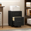 HOMCOM Rolling File Cabinet with 2 Drawers, Mobile Filing Cabinet with Hanging File Folder for Letter Sized Documents, Black