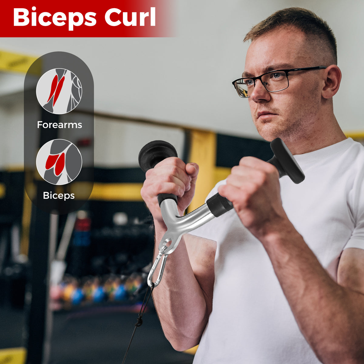 The gym cable attachments held by a man with muscle group diagrams