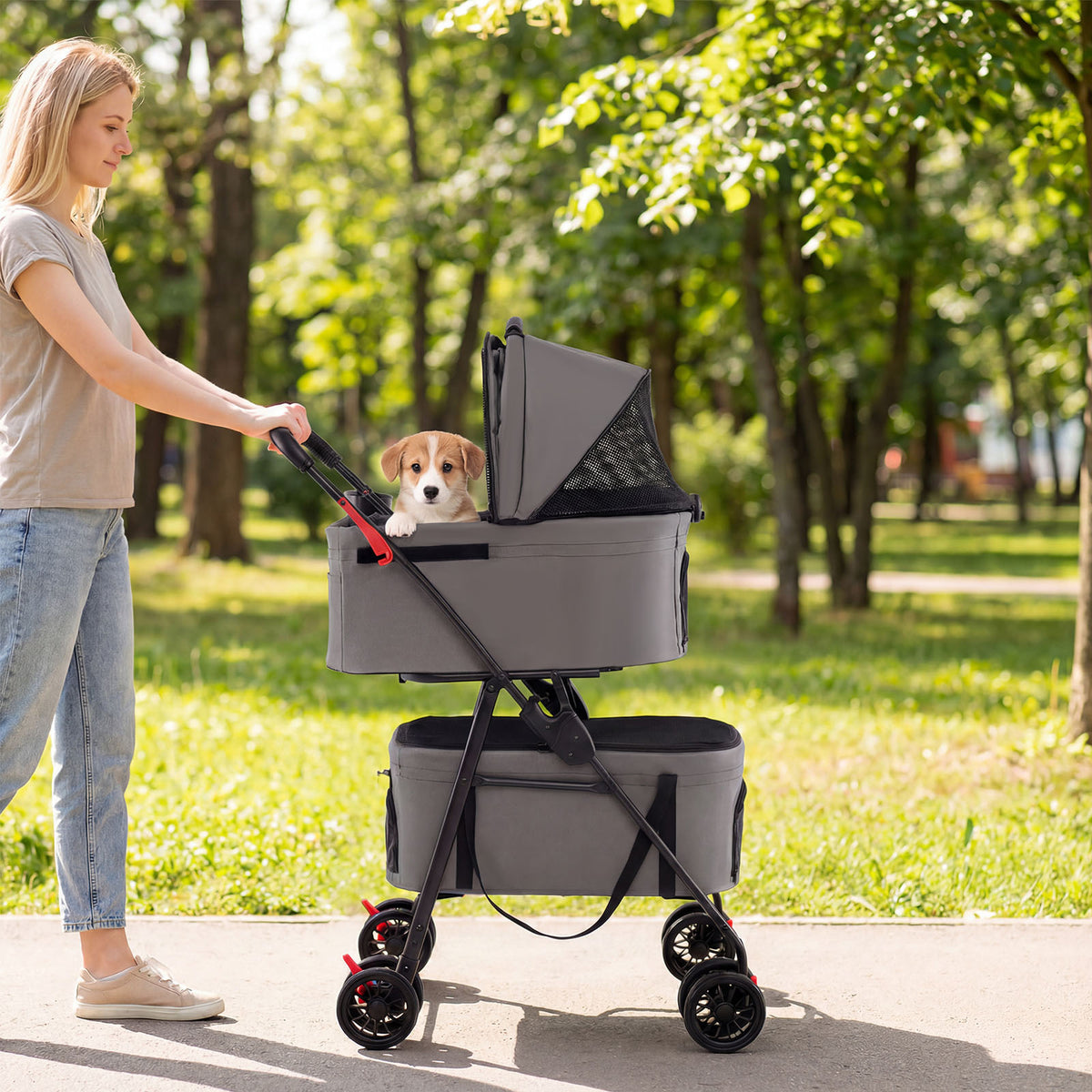 The dog stroller being pushed along a park path with a puppy sitting in the top carrier