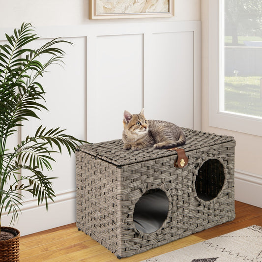 The cat furniture on a rug with a kitten on top