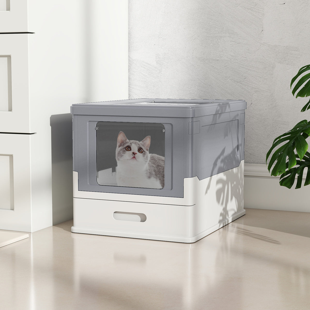 A cat sits inside the enclosed cat toilet, looking up towards the lid