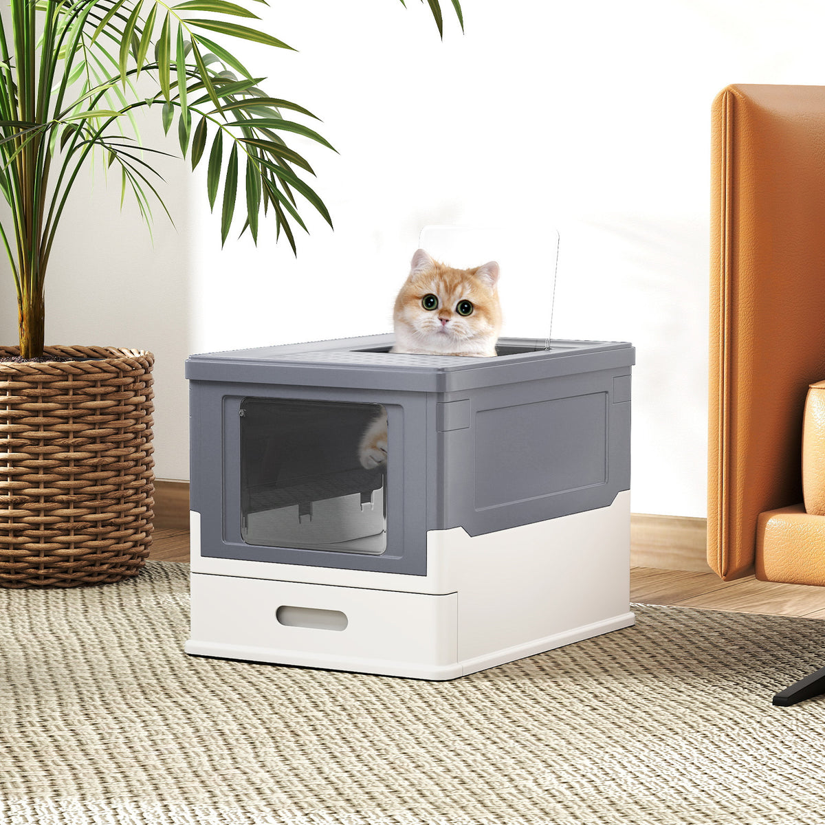 The grey and white foldable cat litter box with a cat looking out of the top opening