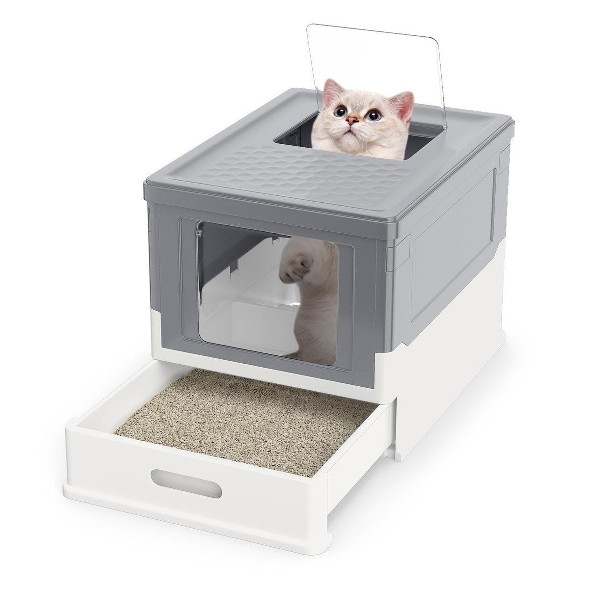 Foldable Cat Litter Box with a cat looking out of the top opening and a litter tray visible below