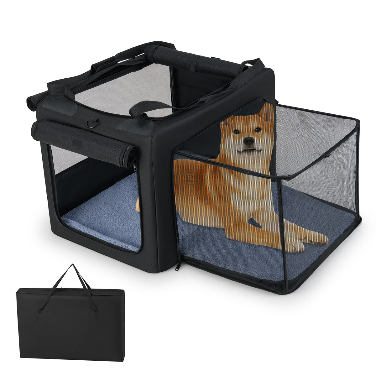 Foldable Dog Crate with openings and window mesh inner basket in medium size, shown with a dog inside