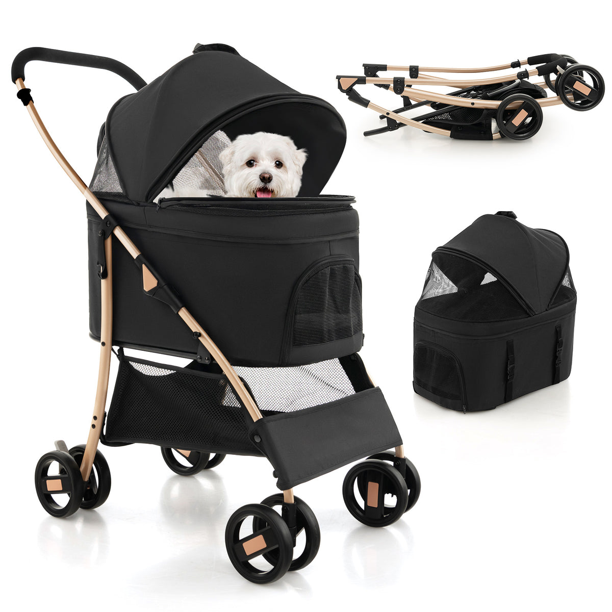 Black and gold dog stroller with a dog inside, shown with folded and upright views