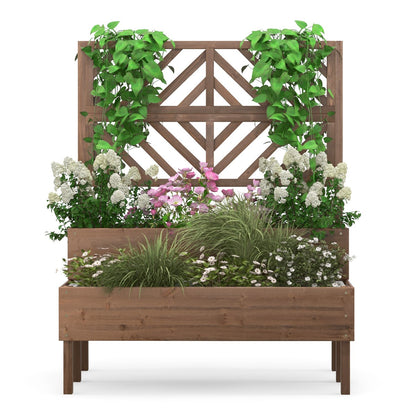 2-Tier Raised Garden Bed with Trellis and Drainage Hole-Brown